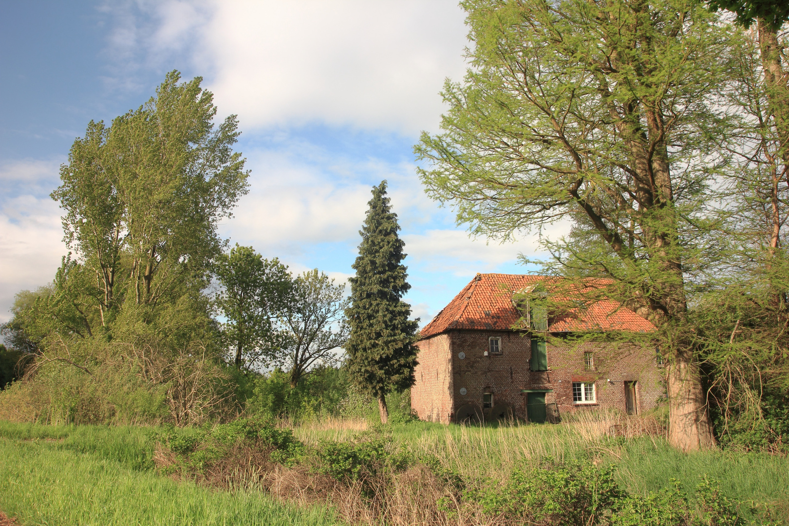 Wiliksche Mühle