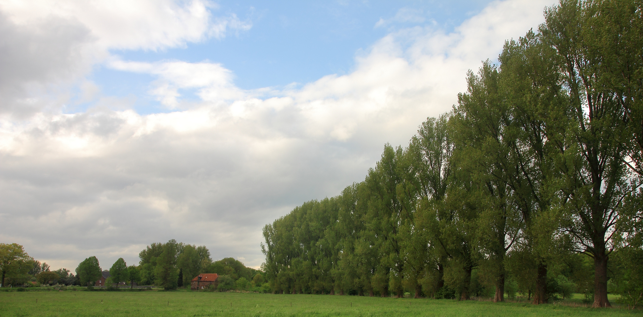 Wiliksche Mühle am horizont