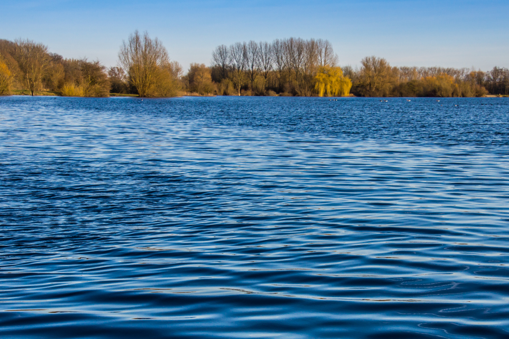 Wilkenburger Fischteich II - Wilkenburg bei Hannover