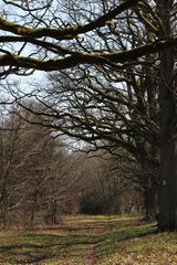 Wilkommen im Märchenwald