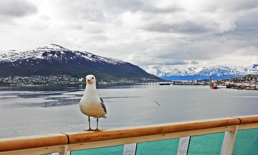 Wilkommen in Tromso