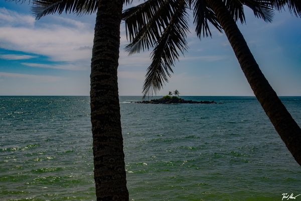 Will ich bleiben! / Wanna stay!