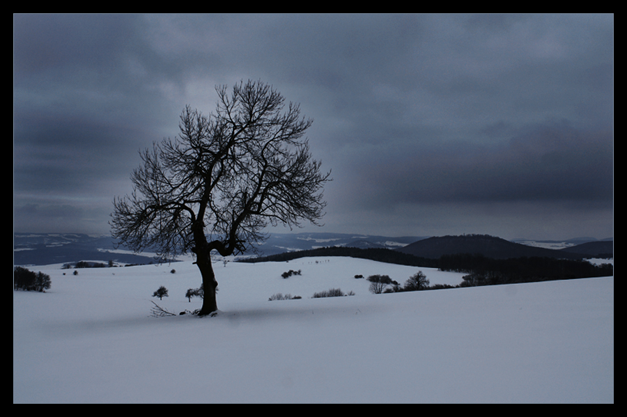 "will keine eurer bilder mehr...