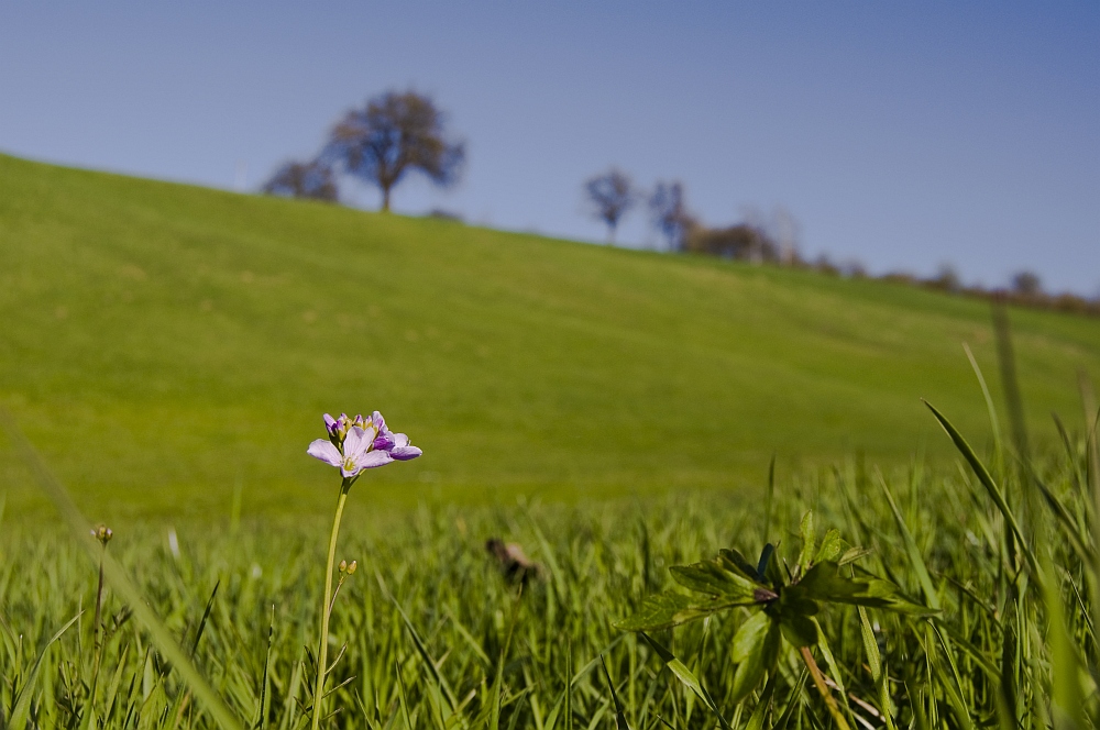 Will noch jemand den Frühling aufhalten? Ich nicht!