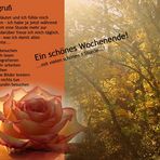 ...will sorgfältig bedacht werden...