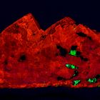 Willemit (grün) in Calcit (rot) bei UV-C (254 nm) Anregung