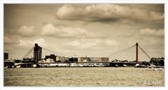 Willemsbrücke in Rotterdam