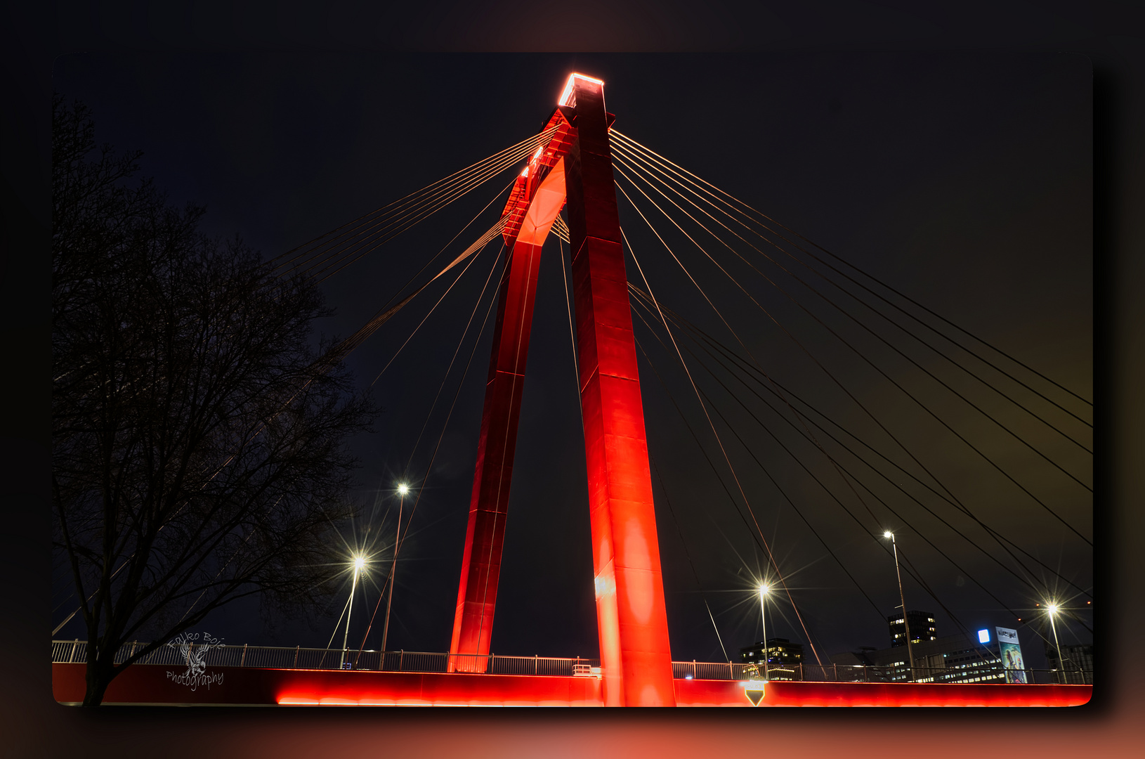 Willemsbrücke Rotterdam