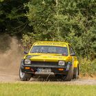 "Willi" beim Eifel Rallye Festival