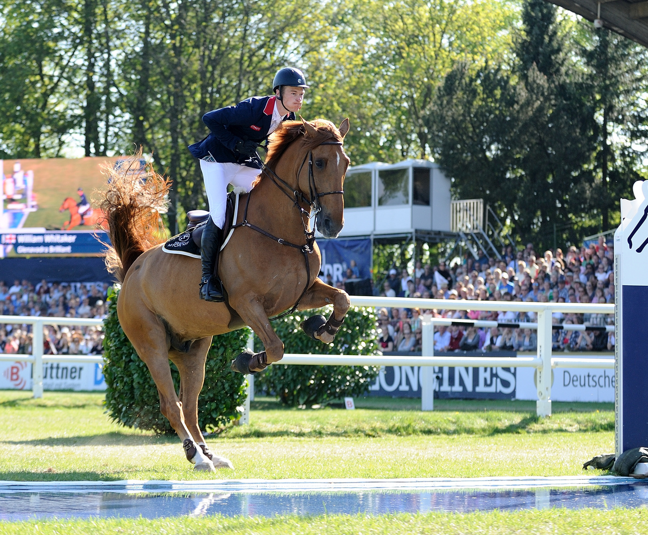 William Whitaker beim Deutschen Spring-Derby 2016