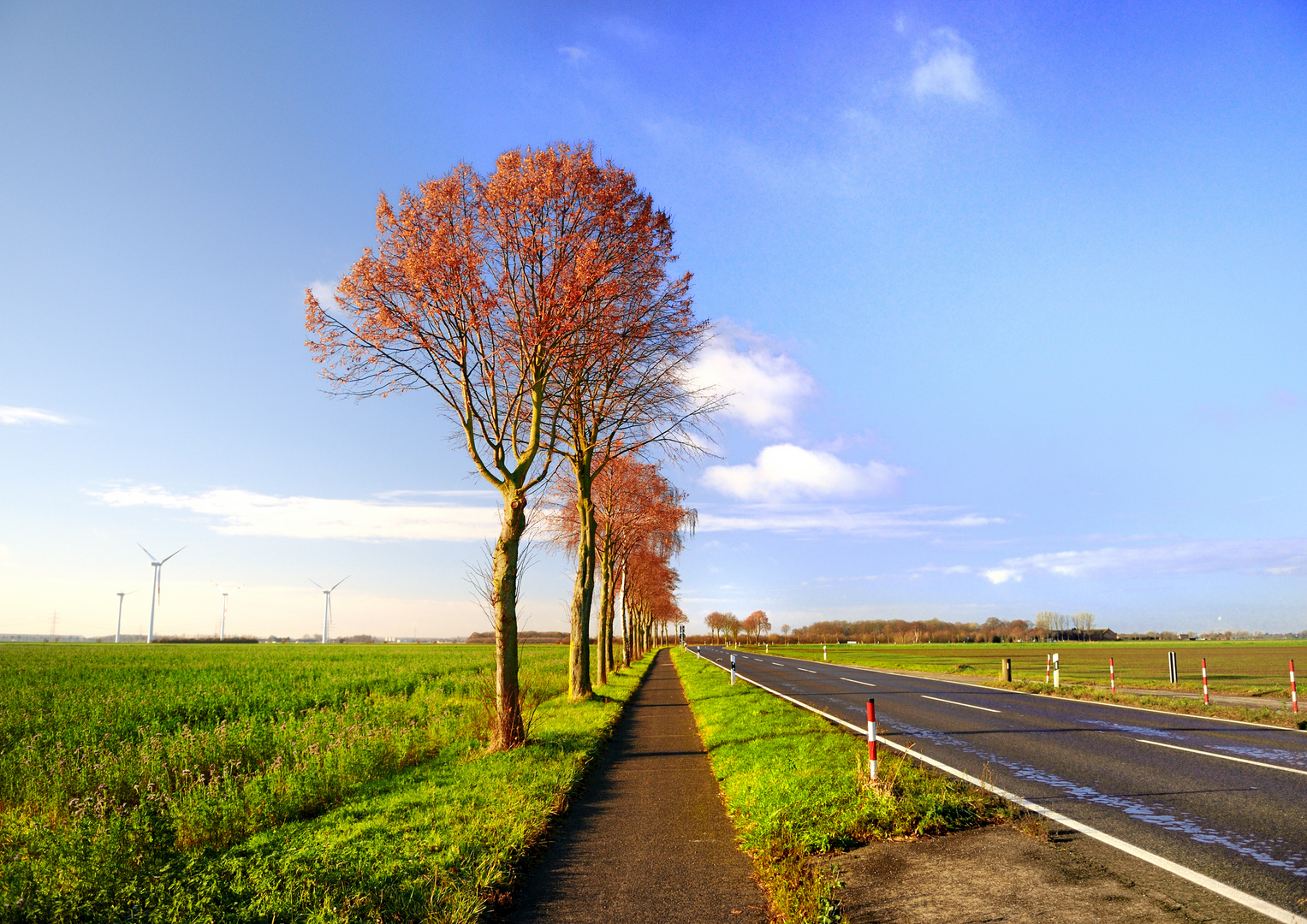 Willicher Strasse - herbstlich