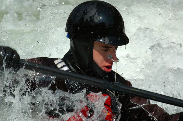 Willie in seiner Welt