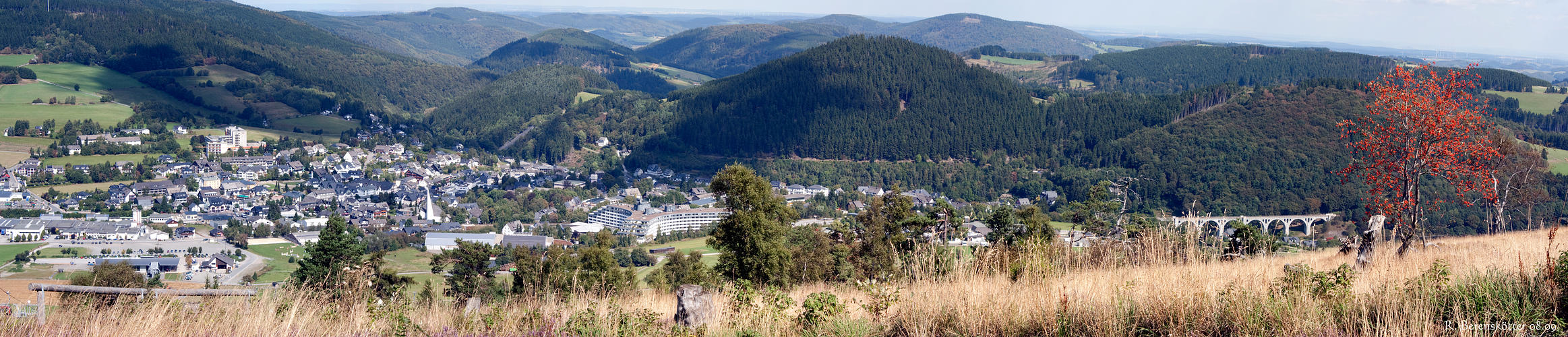 Willingen