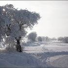 : :  ~ WILLINGEN EIN WINTERMÄRCHEN ~  : : [ I ]