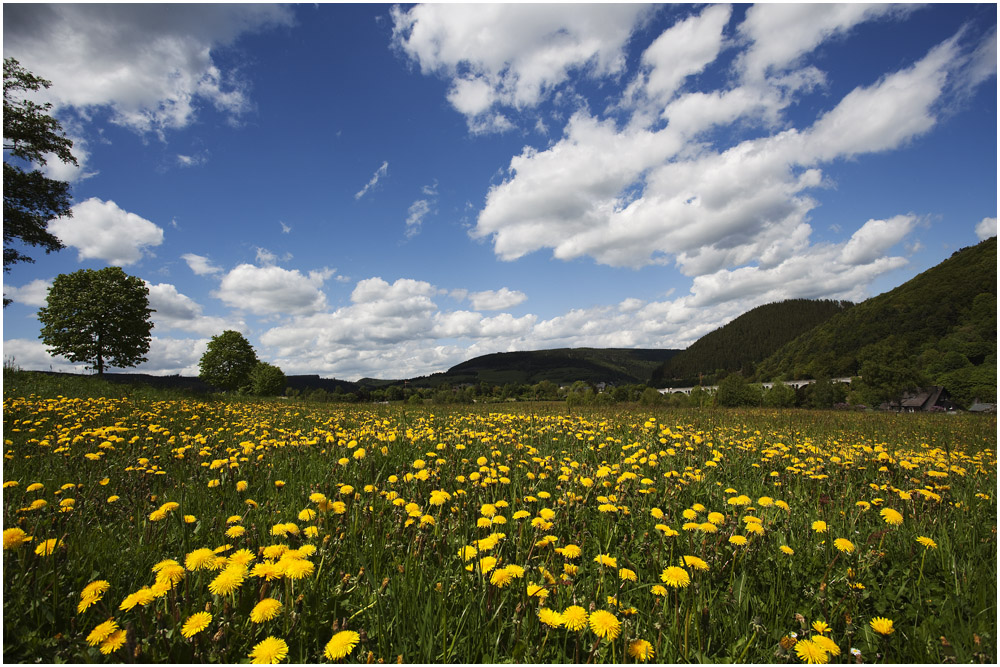 °~ WILLINGEN ~ IMMER WIEDER EIN ERLEBNIS ~°