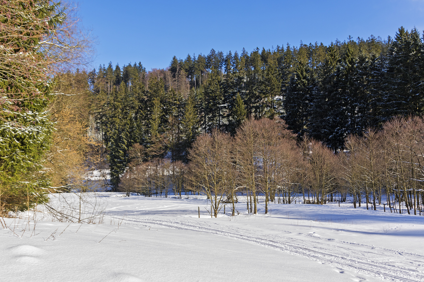 Willingen Nähe der Mühlenkopfschanze