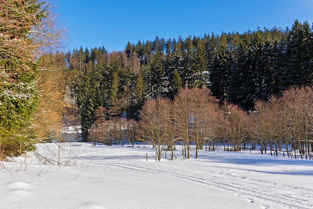 Willingen Nähe der Mühlenkopfschanze