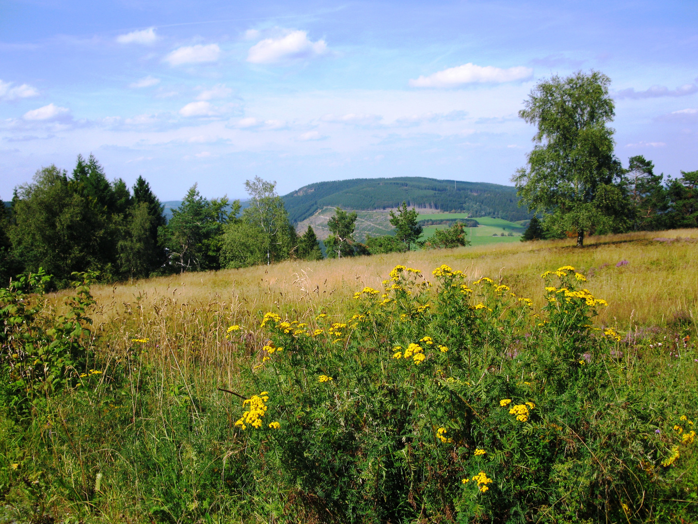 Willingen / Upland – Blick vom Ettelsberg