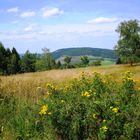 Willingen / Upland – Blick vom Ettelsberg