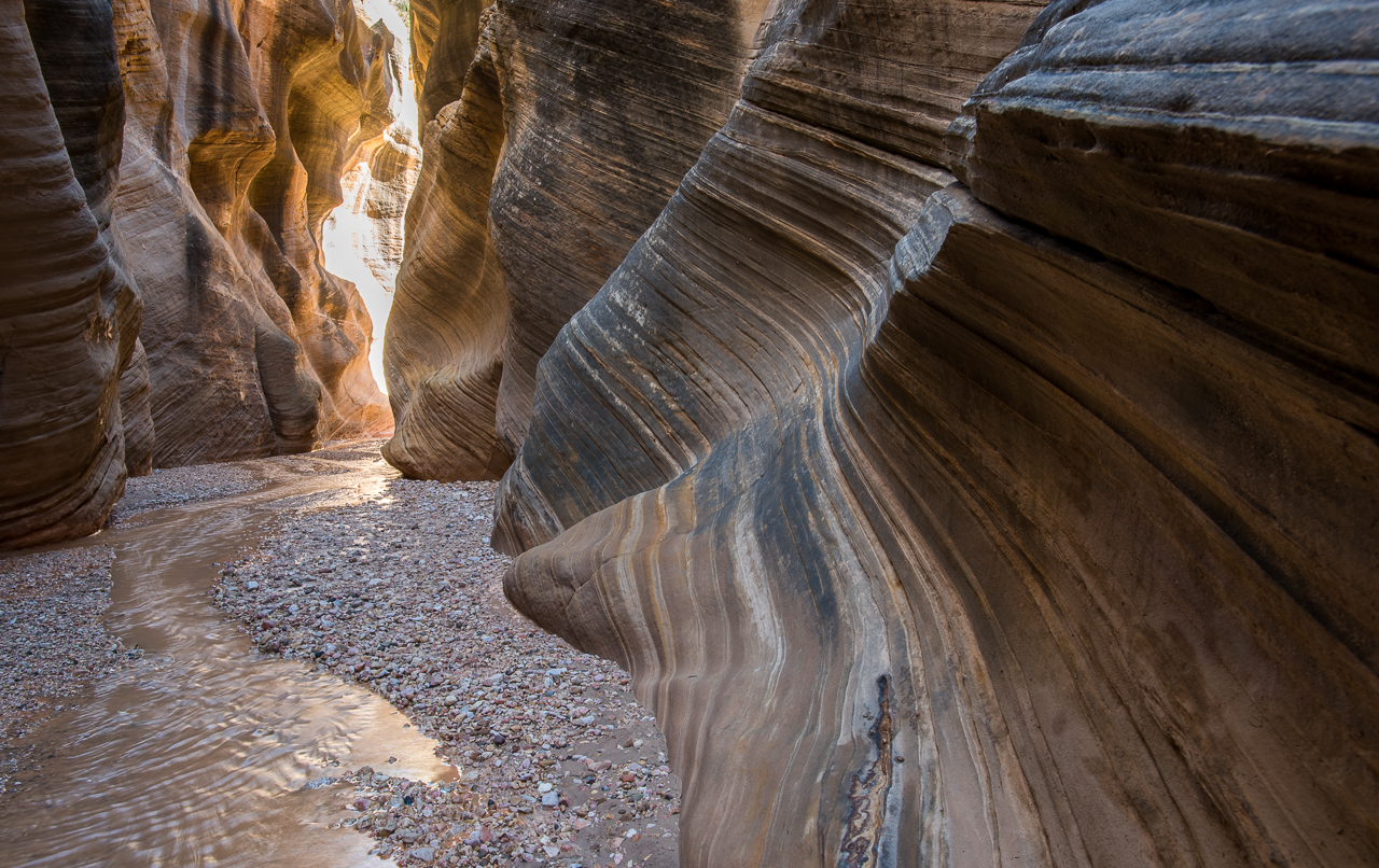 Willis Creek 