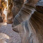 Willis Creek 