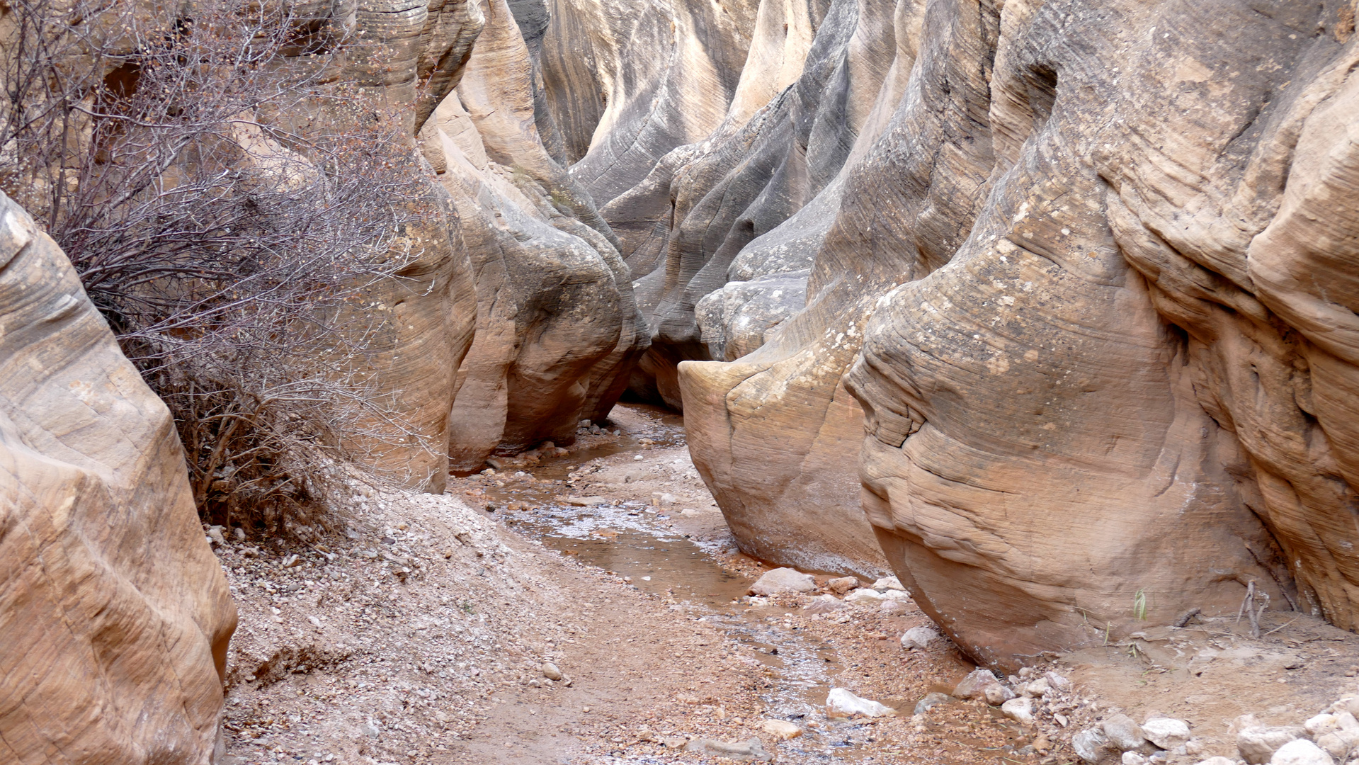 Willis Creek Slot Canyon