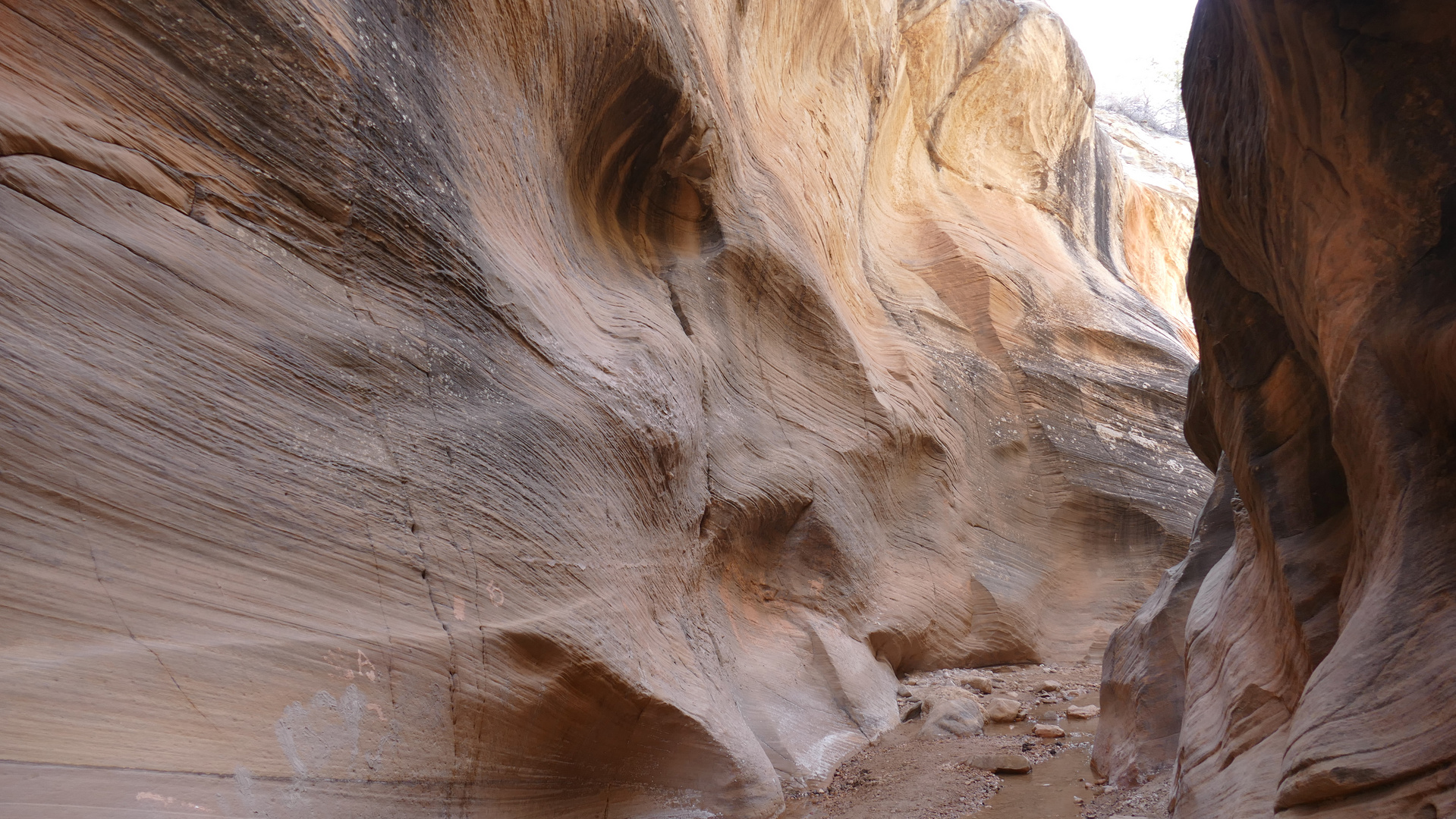 Willis Creek Slot Canyon