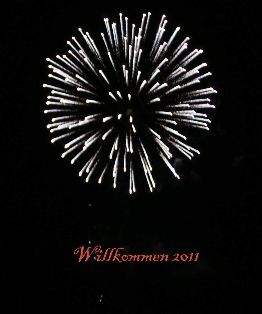 willkommen 2011