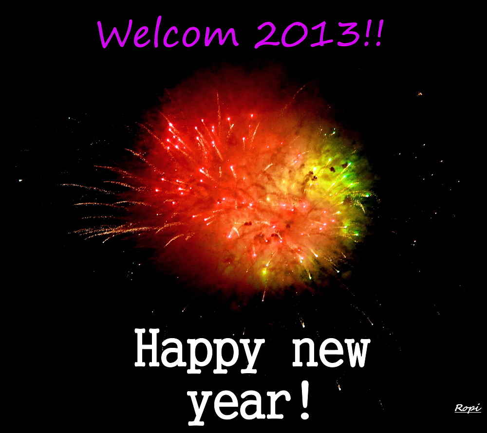 Willkommen 2013!