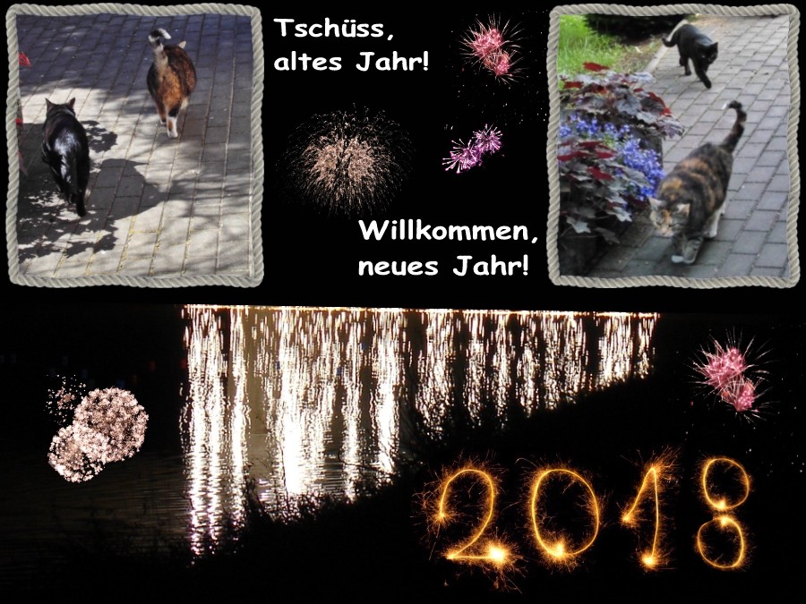 Willkommen 2018