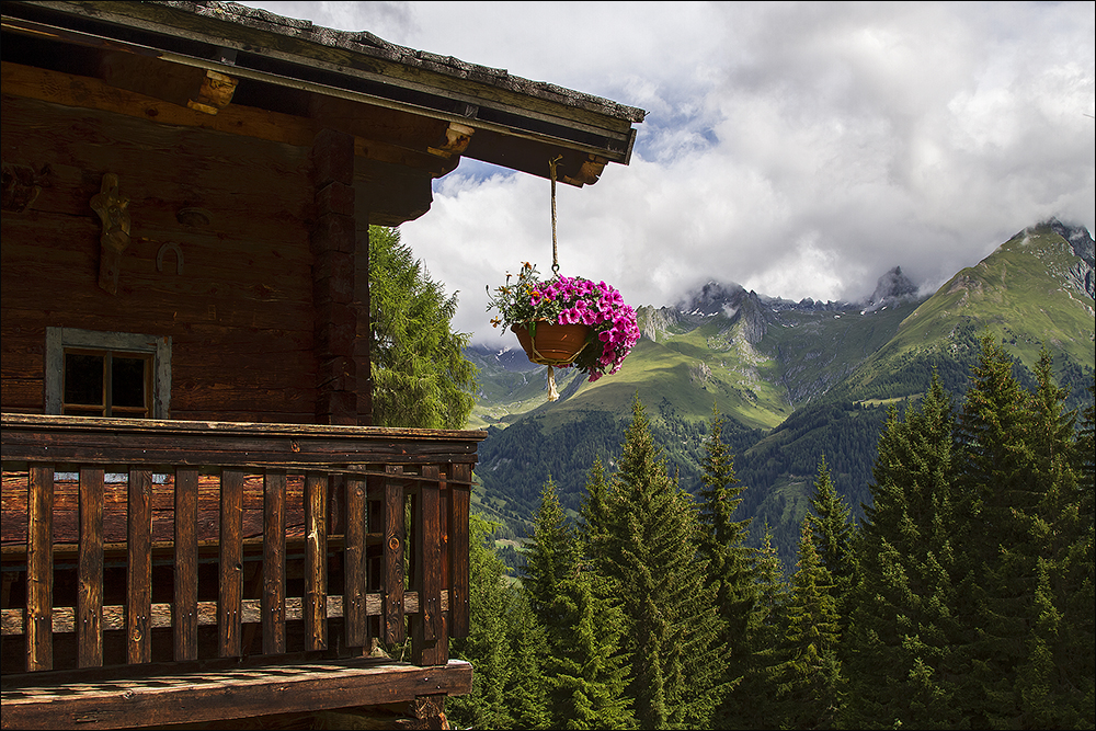 willkommen auf der Thun Alm