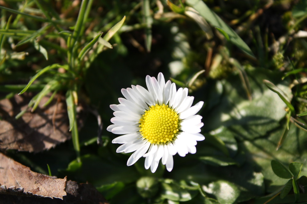 Willkommen, Frühling!