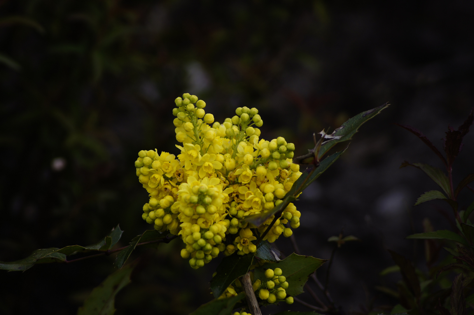 Willkommen Frühling 17