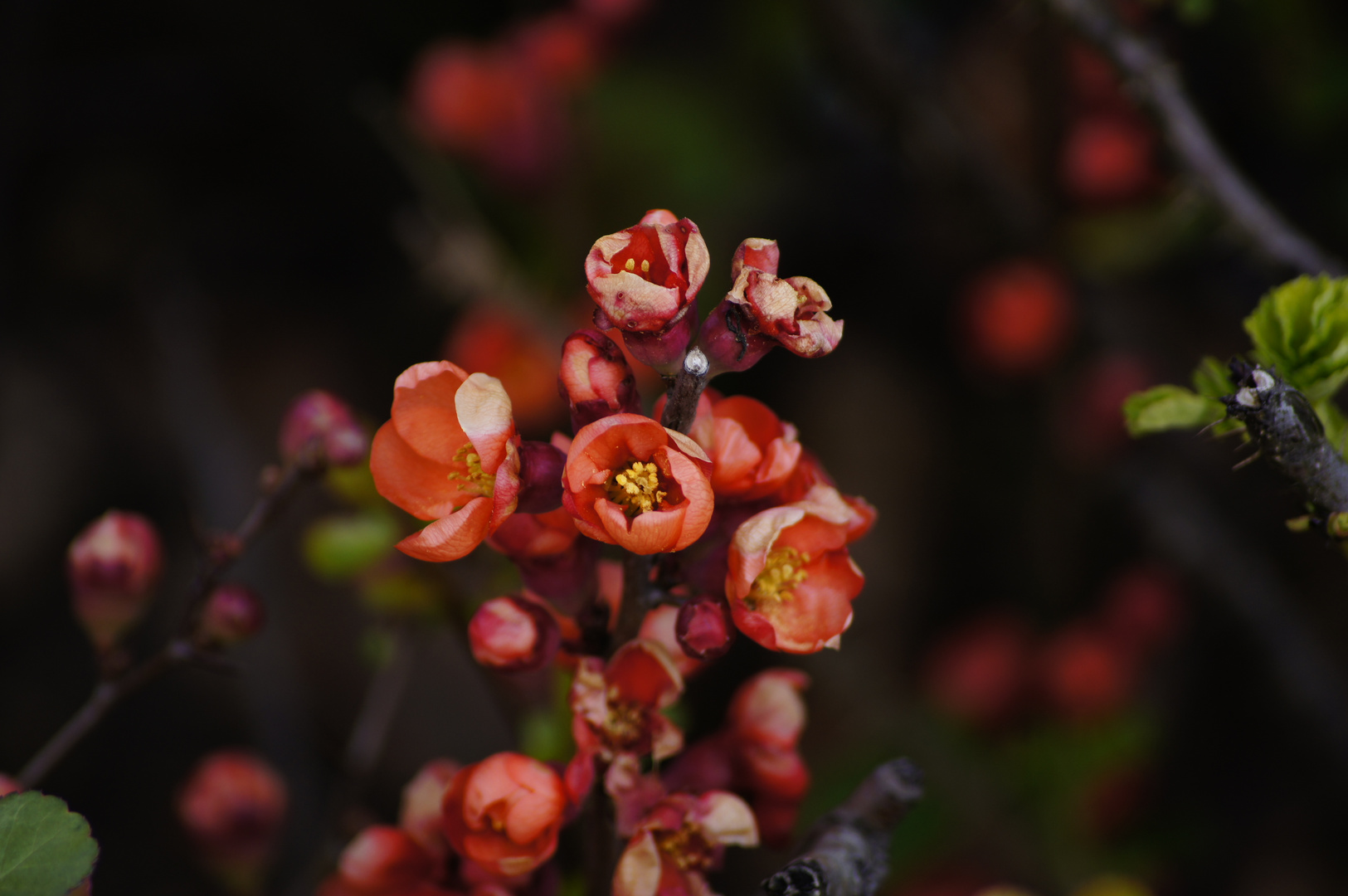 Willkommen Frühling 19