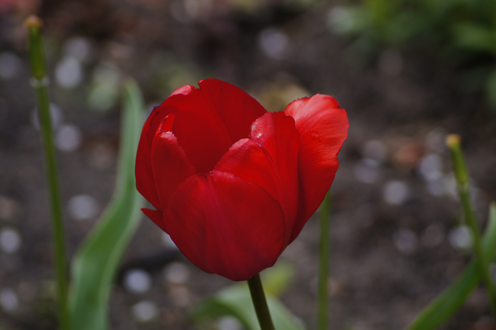 Willkommen Frühling 22