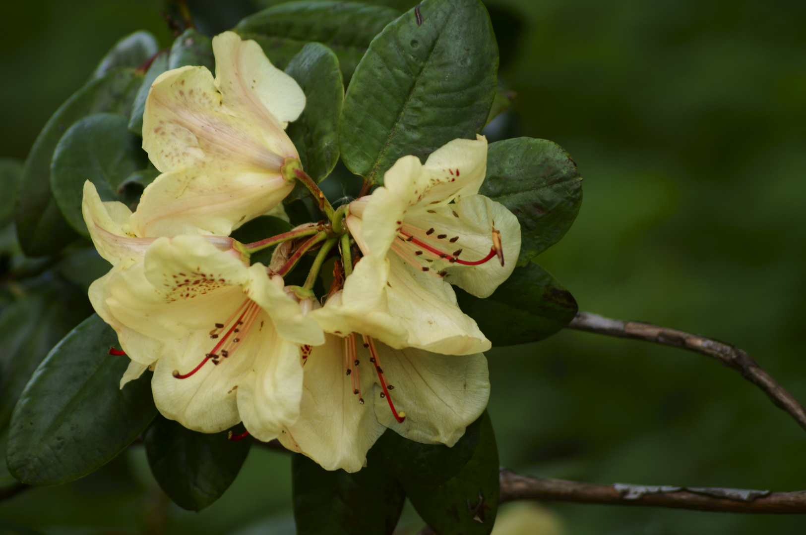 Willkommen Frühling 22