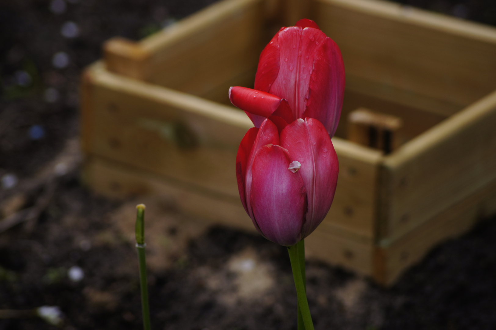 Willkommen Frühling 23