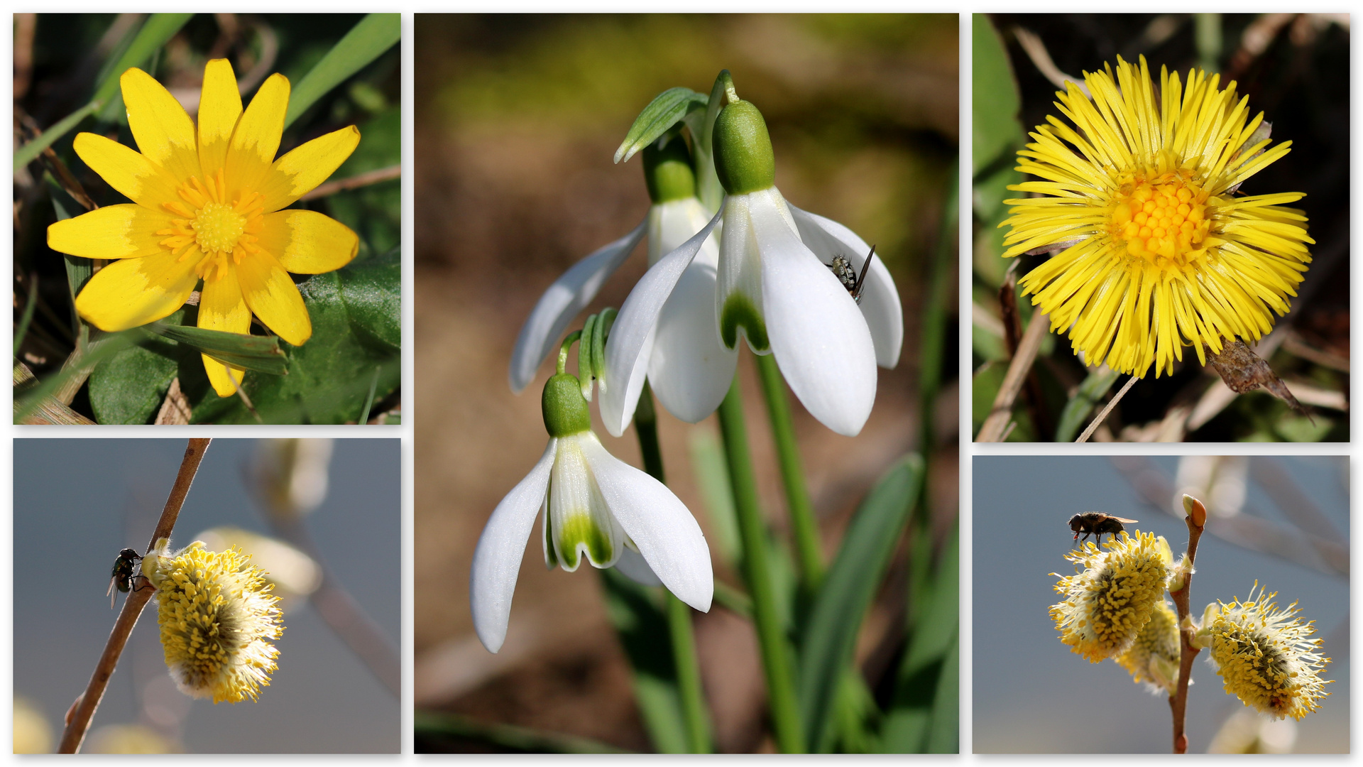 * Willkommen Frühling *