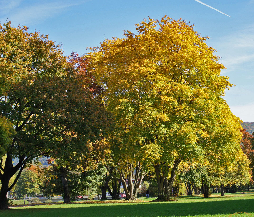 ' Willkommen Herbst '