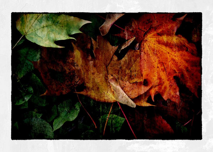 [... Willkommen Herbst ...]