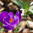 Willkommen im Frühling