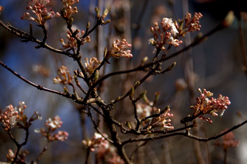 Willkommen im Frühling