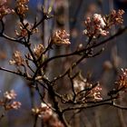 Willkommen im Frühling