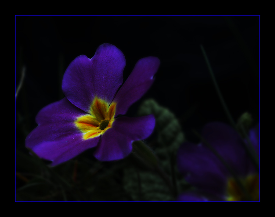 Willkommen im Frühling