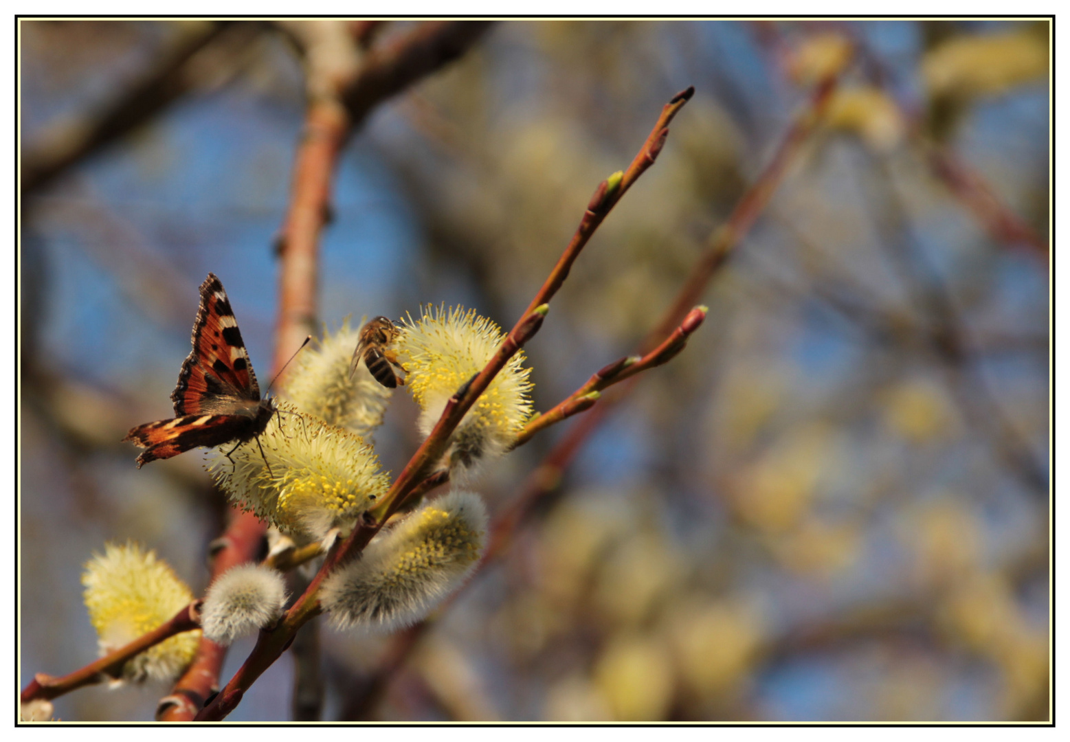 Willkommen im Frühling