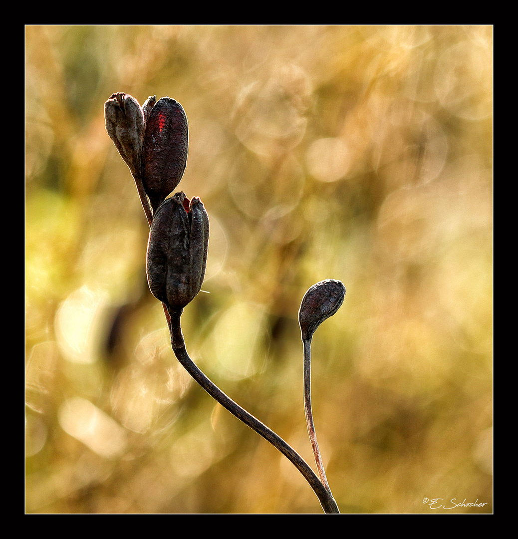 Willkommen im Herbst