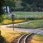 Willkommen im Killesbergpark