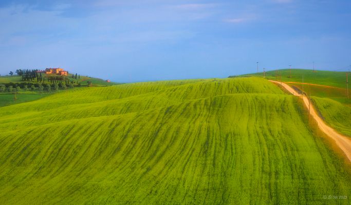 Willkommen im "Teletubbyland"!
