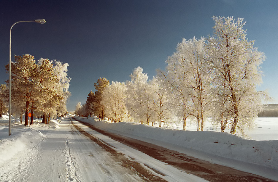 Willkommen im Winterland!