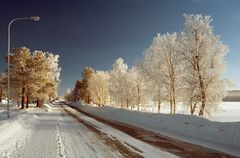 Willkommen im Winterland!